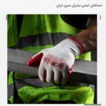 دستکش ایمنی نیتریل (12 جفتی) RH9011