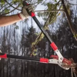 قیچی شاخه زن غیر تلسکوپی مدل RH-3122