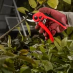 مدل : RH-3106  (1.96)  قیچی باغبانی ویرگو