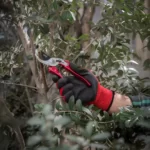 مدل : RH-3107  (2.44)  قیچی باغبانی X-tra